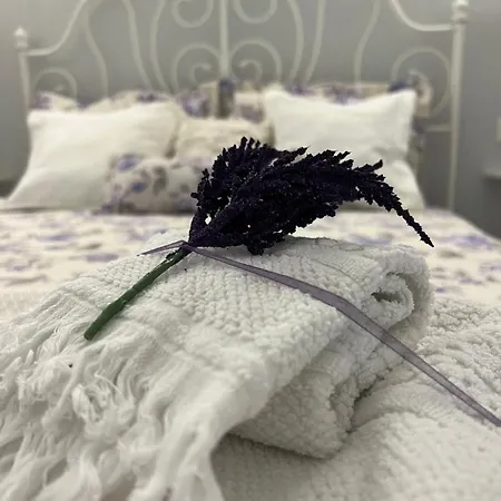 Puglia D'amare Bed & Breakfast Lizzano (Apulia)